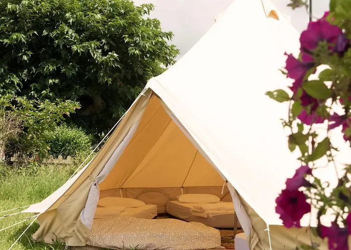 Aparra Surfcamp Сен-Жан-де-Люз